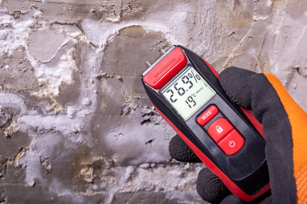 Best Mold Testing  in Breaux Bridge, LA