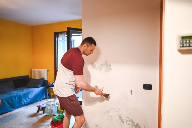 Best Same-Day Mold Removal  in Breaux Bridge, LA